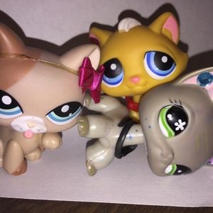 Meet your Posher, Erica